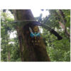 Img 00611 Op